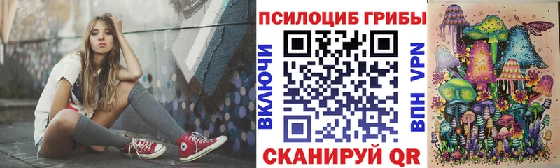 Псилоцибиновые грибы Psilocybe  Магас 